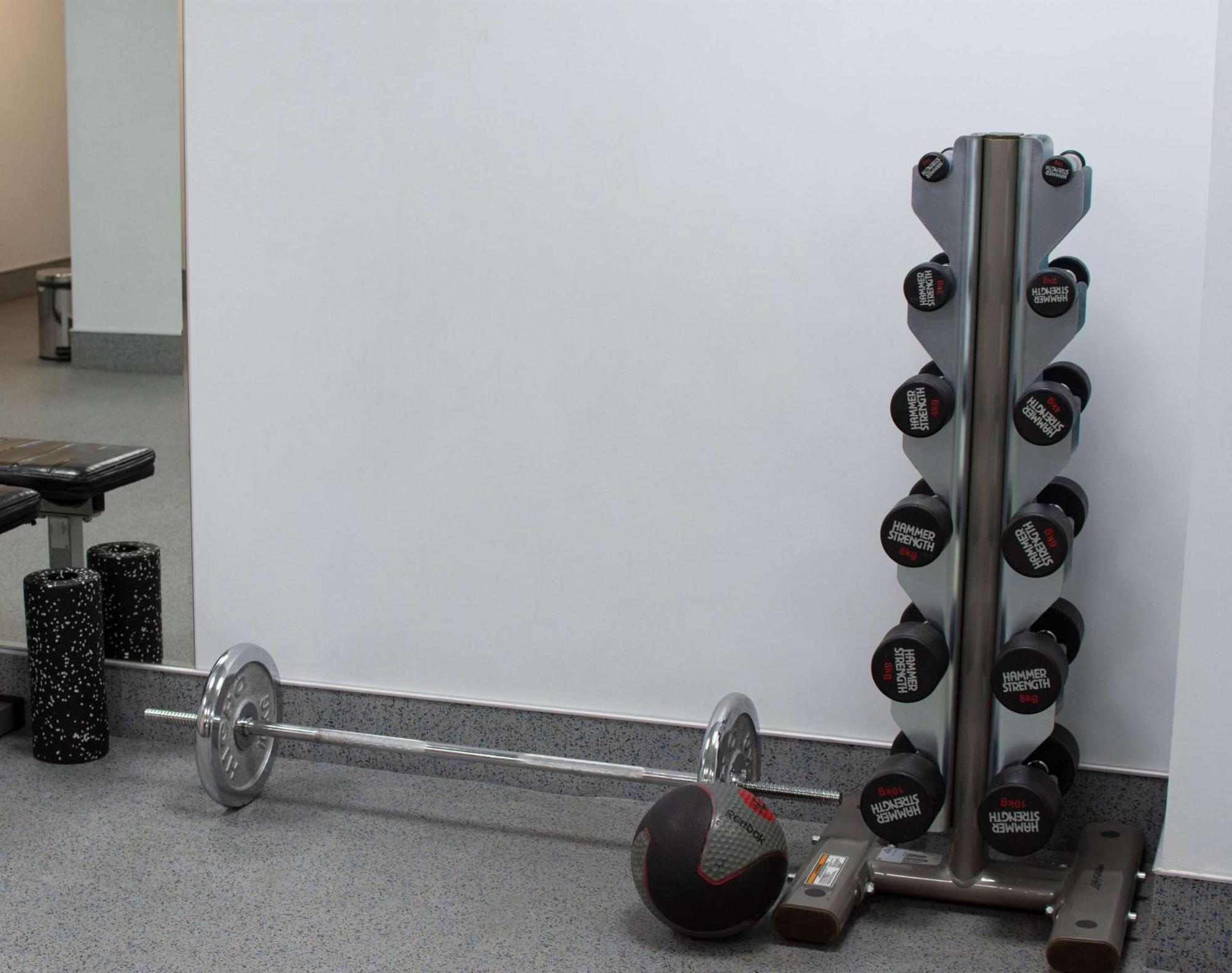 Radisson Blu Hotel Jerevan Eksteriør bilde Dumbbell rack